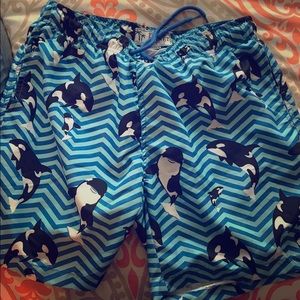Orca Whale Trunks
